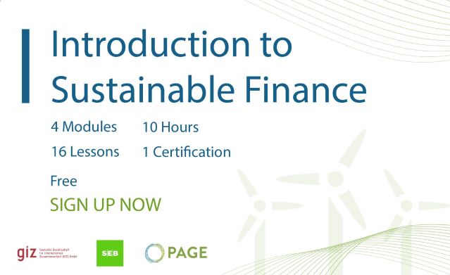 sustainable finance research papers pdf